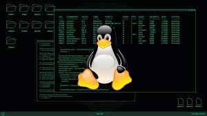 LINUX