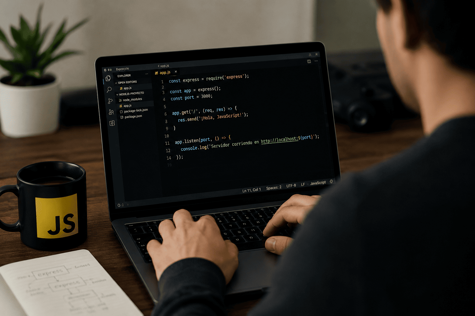 JavaScript